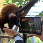 Zoom Erlebniswelt führt als erster deutscher Zoo kostenloses WLAN ein