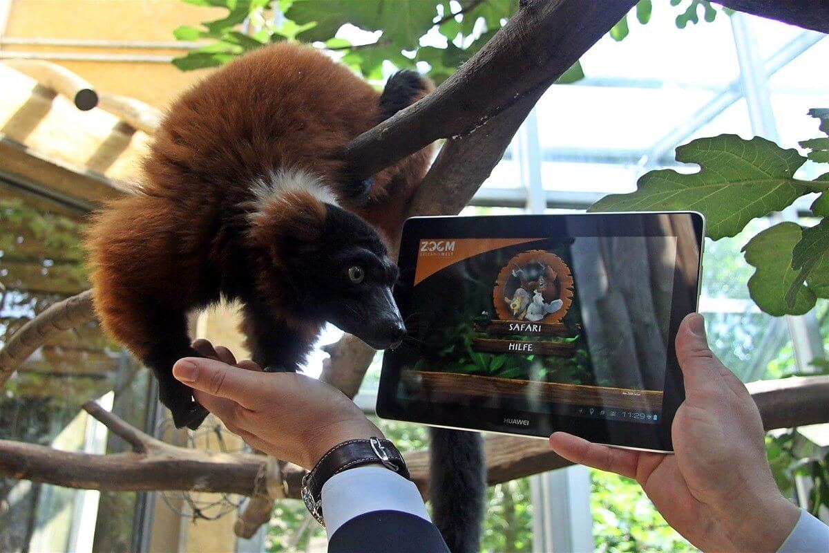 Zoom Erlebniswelt führt als erster deutscher Zoo kostenloses WLAN ein