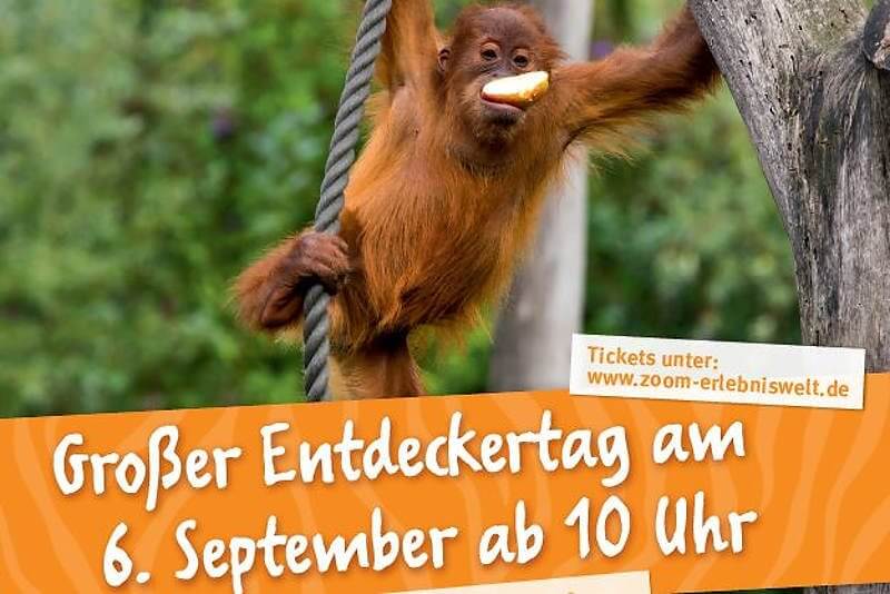 ZOOM Erlebniswelt Entdeckertag