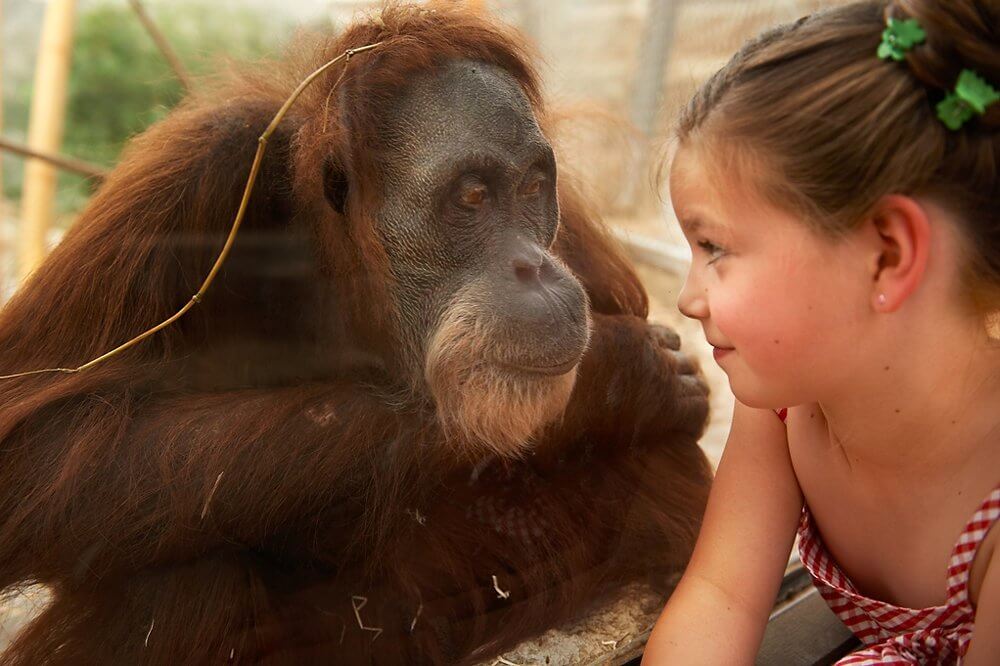 ZOOM Erlebniswelt - NRM Partnerzoo Tag