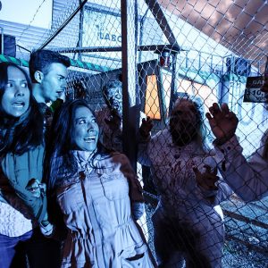 Horror Nights im Europa-Park Resort