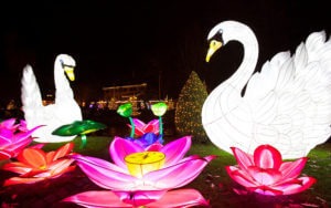 Lichtfiguren zur Winter-Saison im Europa-Park