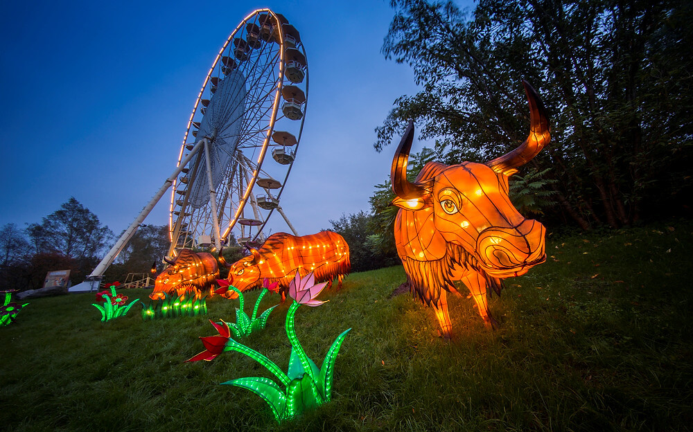 Lichter-Safari im Serengeti-Park