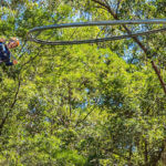 Center Parcs Park Allgäu - Zip-Wire