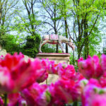 Frühling im Freizeitpark Efteling