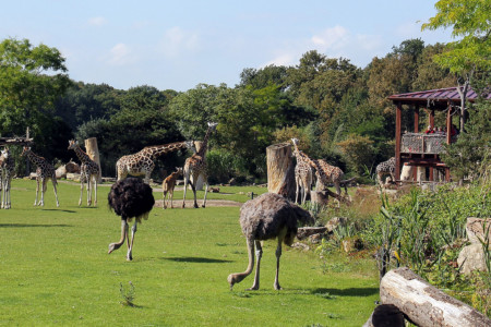 Zoo Leipzig