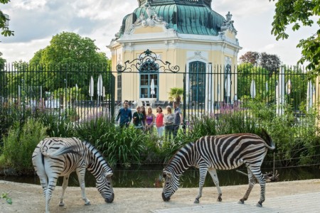 Tiergarten Schönbrunn